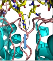 Jundishapur J Nat Pharm Prod